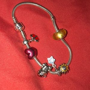 Pandora Charms